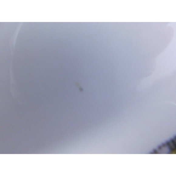 Syracuse China Cloisonne 14" Oval Serving Platter Birds Flowers Gold Trim - Picture 3 of 6